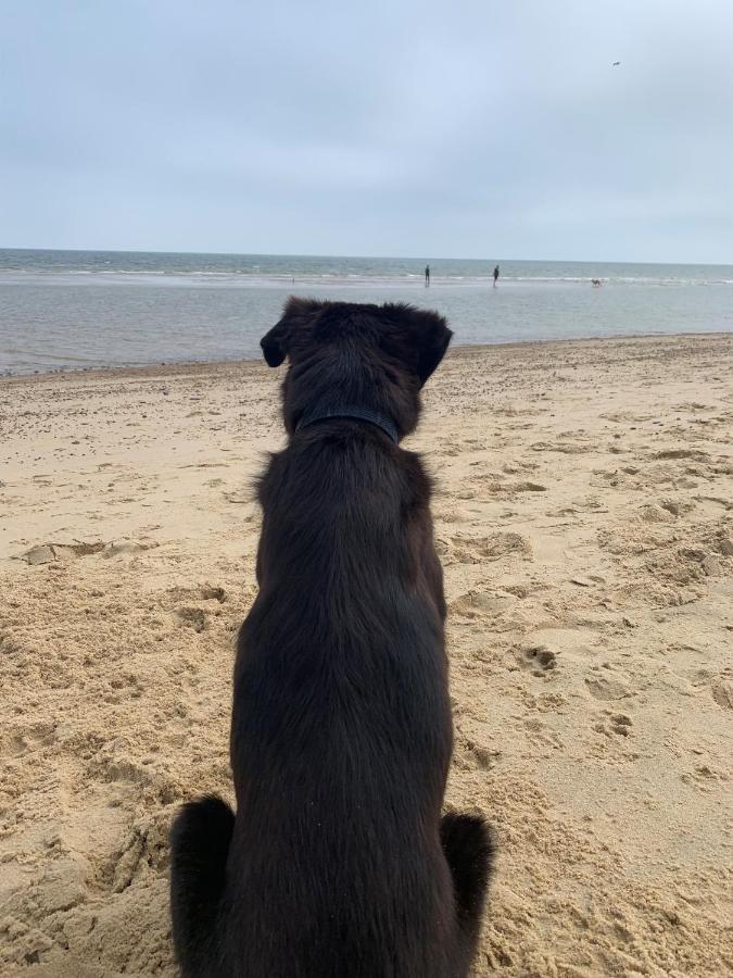 Norfolk Caravan Staycation Pet Friendly Belton with Browston Kültér fotó