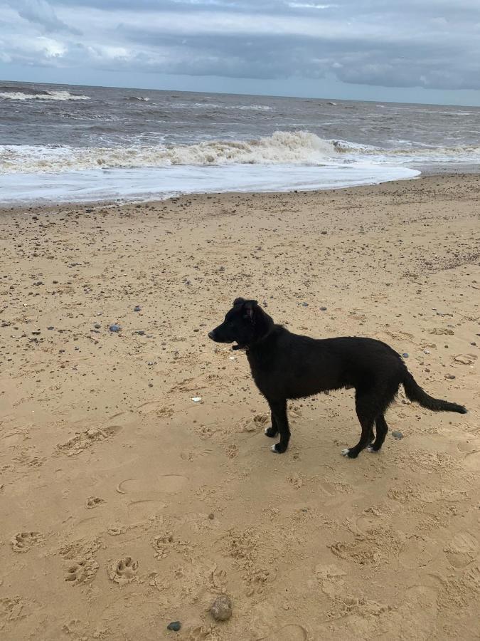 Norfolk Caravan Staycation Pet Friendly Belton with Browston Kültér fotó